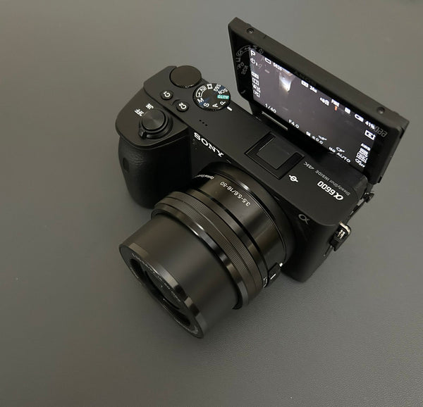 Sony Alpha 6600 Mirrorless Camera (Body)